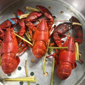 Tôm hùm Alaska (hấp chính)